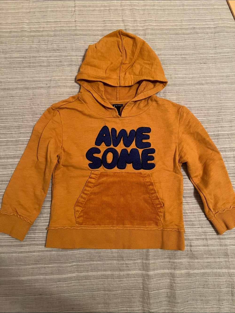 Art Class Boys Hoodie
